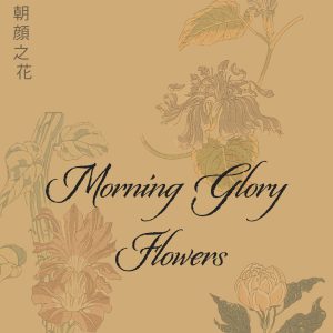 Morning Glory Flowers